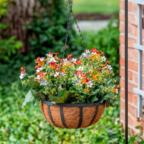 Home depot hanging plants - Finding the right paint for your home can be a daunting task. With so many options available, it can be hard to know where to start. One of the best places to find paint is at Home...